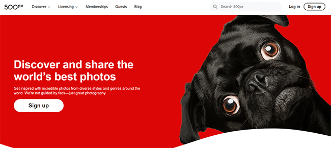 500px home page